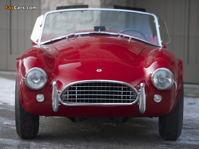 Shelby Cobra 289 (CSX 2328) 1964 images (640 x 480)