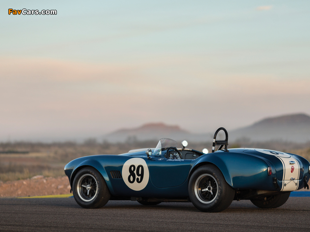 Shelby Cobra 289 (CSX 2473) 1964 images (640 x 480)