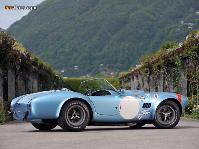 Shelby Cobra Competition Roadster 1964 photos (640 x 480)