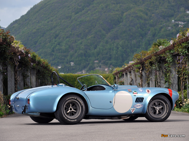 Shelby Cobra Competition Roadster 1964 photos (800 x 600)
