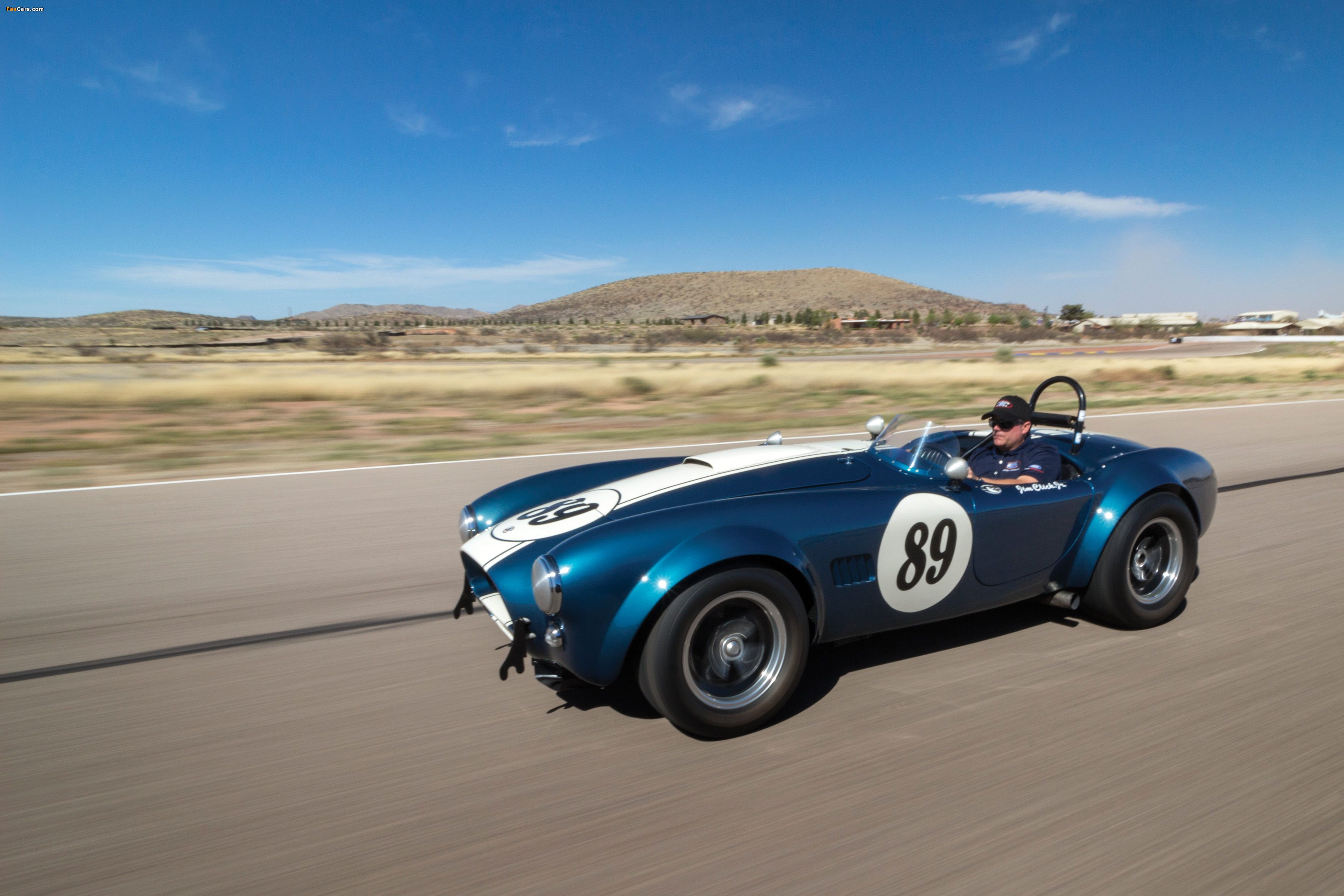 Shelby Cobra 289 (CSX 2473) 1964 pictures (3600 x 2400)