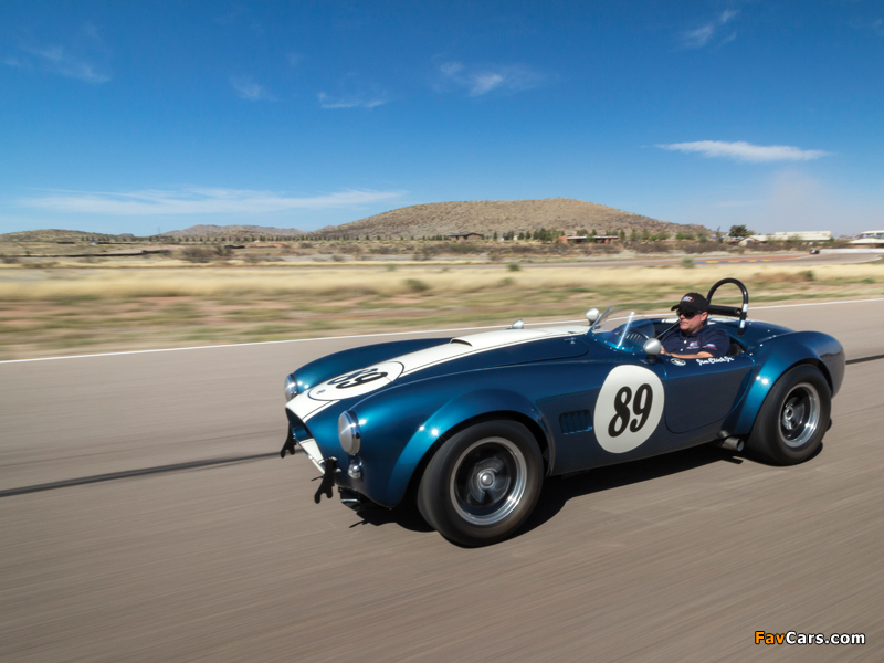 Shelby Cobra 289 (CSX 2473) 1964 pictures (800 x 600)