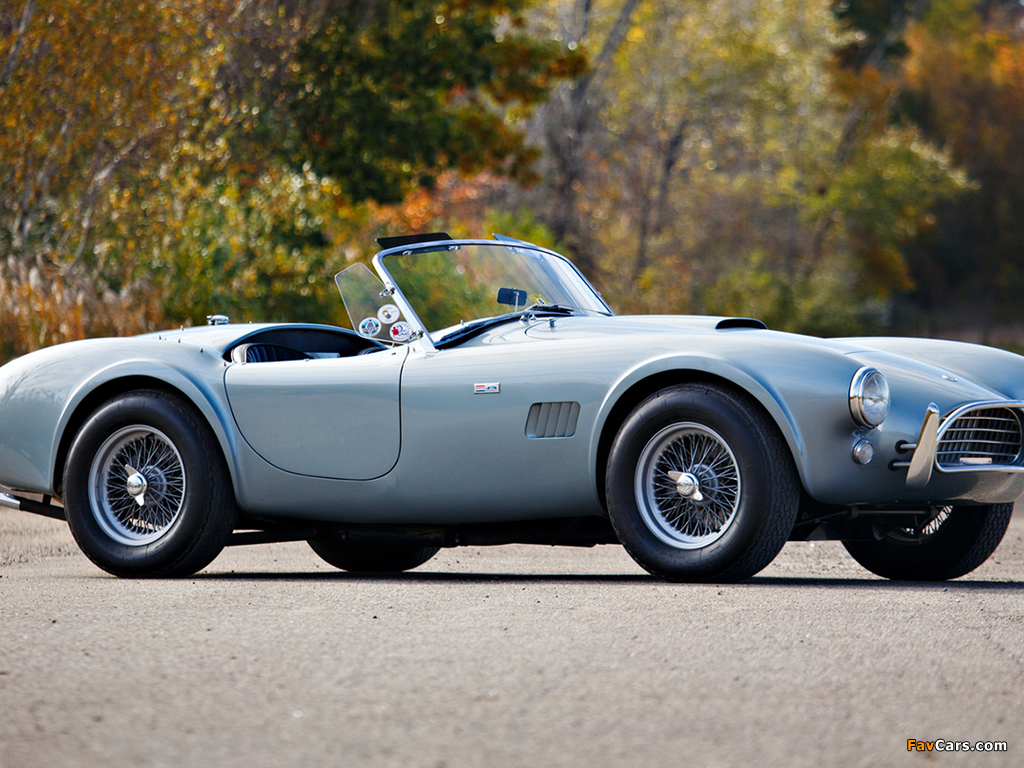 Shelby Cobra 289 (CSX 2411) 1964 pictures (1024 x 768)