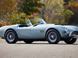 Shelby Cobra 289 (CSX 2411) 1964 pictures