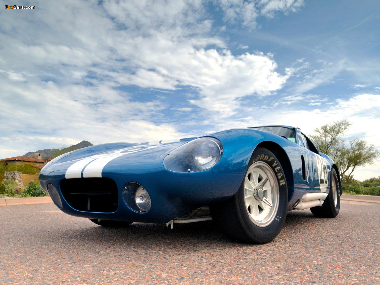 Shelby Cobra Daytona Coupe 1964–65 pictures (1280 x 960)