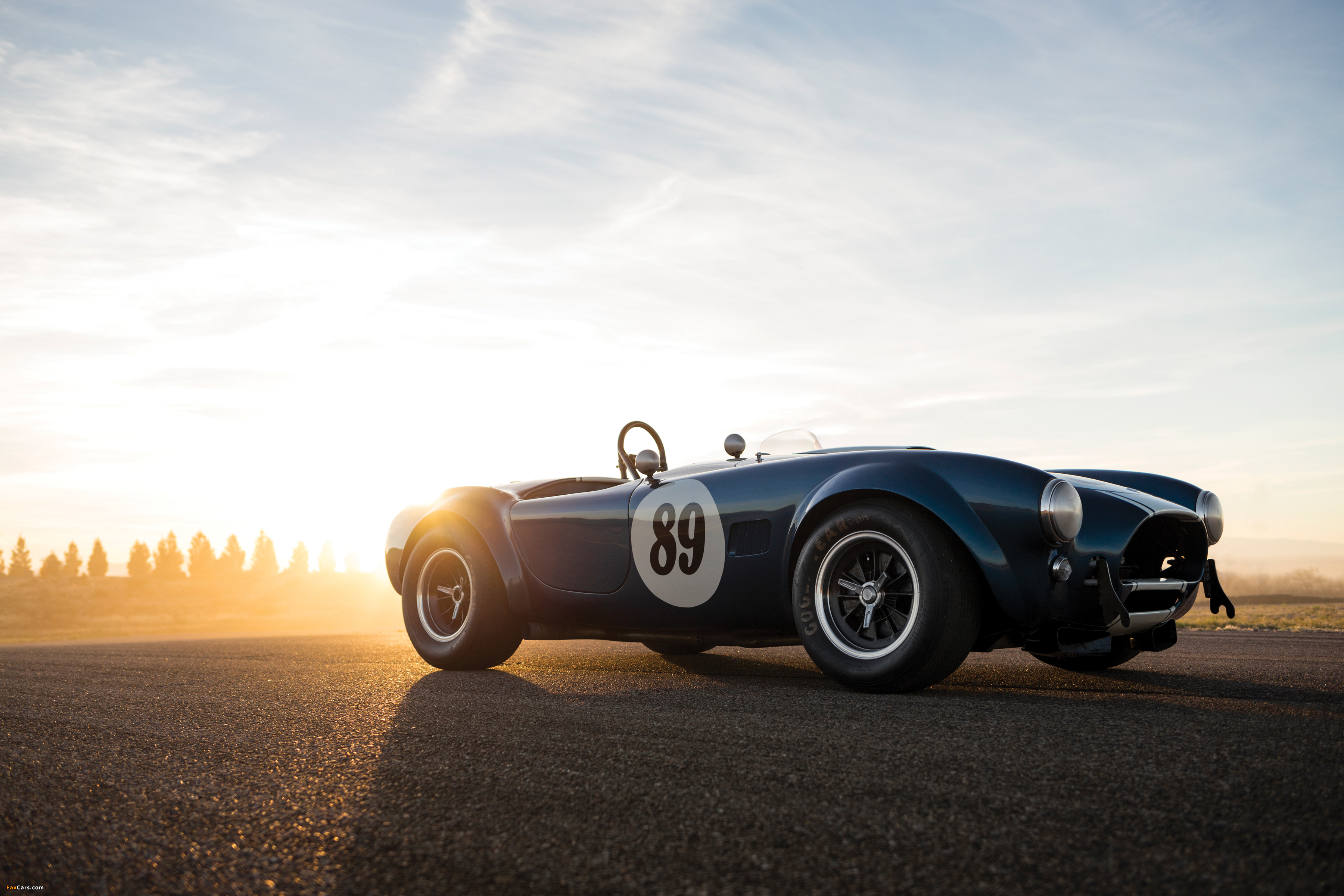 Shelby Cobra 289 (CSX 2473) 1964 pictures (3600 x 2400)