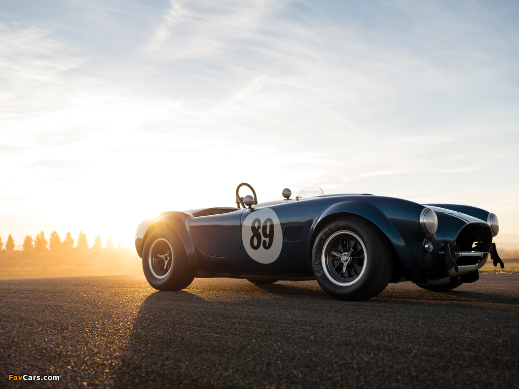 Shelby Cobra 289 (CSX 2473) 1964 pictures (1024 x 768)