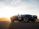 Shelby Cobra 289 (CSX 2473) 1964 pictures