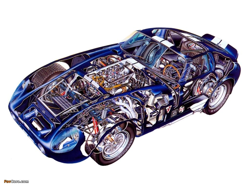 Shelby Cobra Daytona Coupe 1964–65 wallpapers (1024 x 768)
