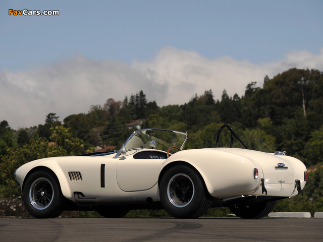 Shelby Cobra 427 S/C Competition (MkIII) 1965 pictures (640 x 480)