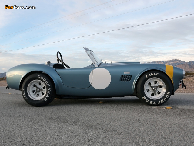 Shelby Cobra 289 FIA 50th Anniversary (CSX7000) 2014 photos (640 x 480)