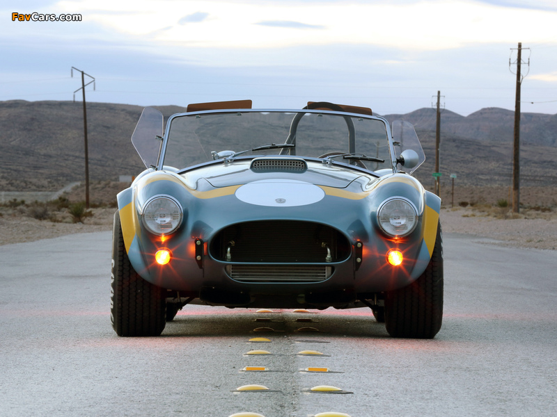 Shelby Cobra 289 FIA 50th Anniversary (CSX7000) 2014 photos (800 x 600)