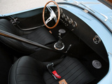 Shelby Cobra 289 FIA 50th Anniversary (CSX7000) 2014 photos