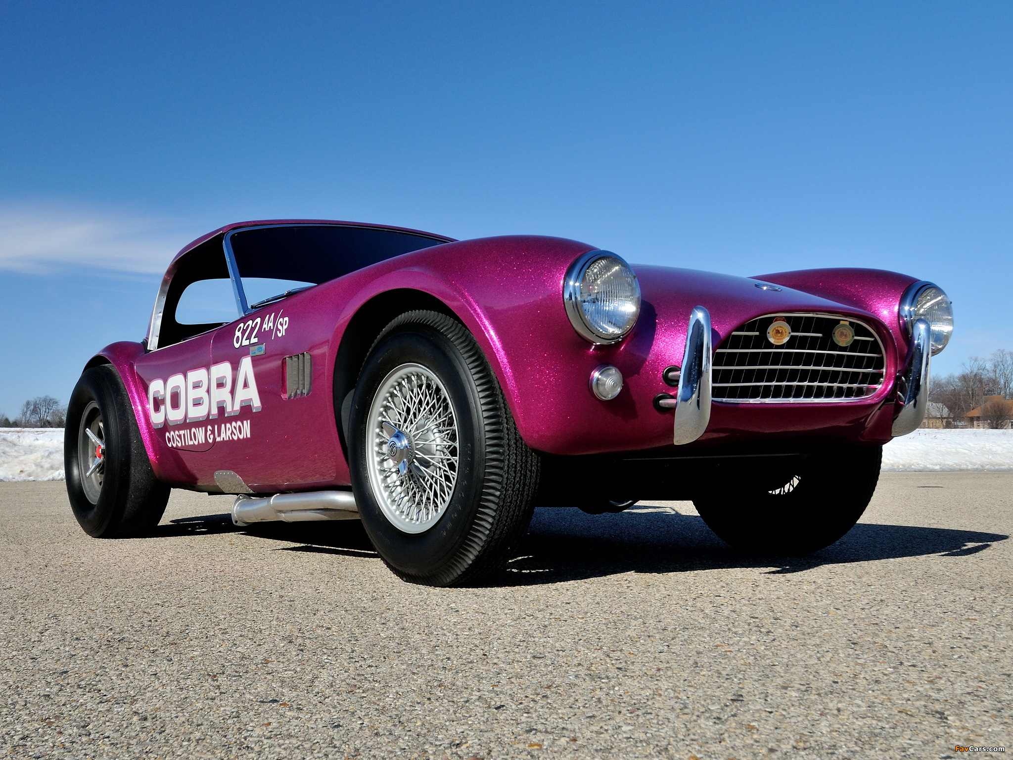 Shelby Cobra Coupe Dragon Snake 1963 wallpapers (2048 x 1536)