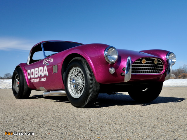 Shelby Cobra Coupe Dragon Snake 1963 wallpapers (640 x 480)