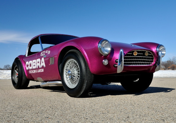 Shelby Cobra Coupe Dragon Snake 1963 wallpapers