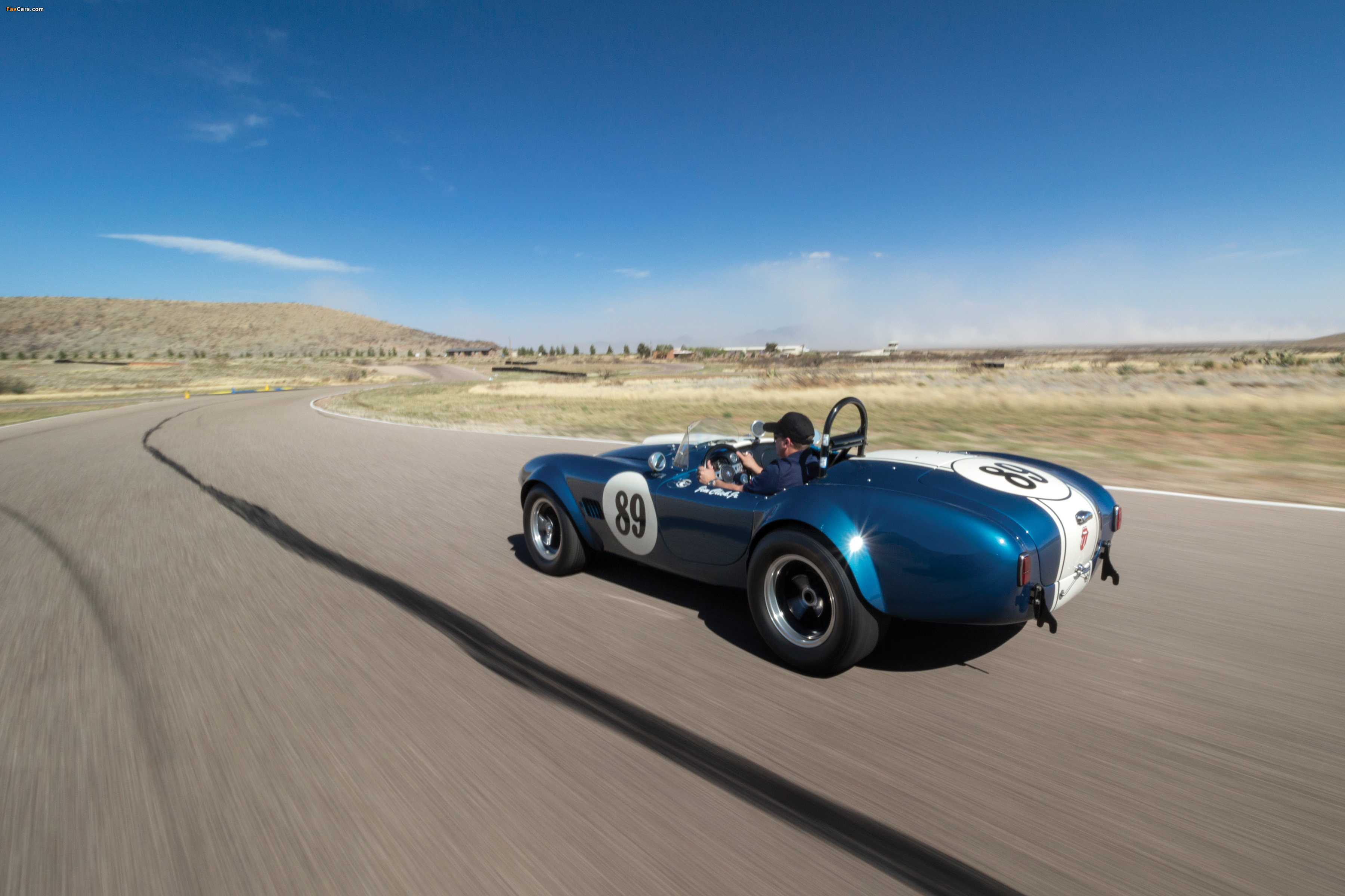 Shelby Cobra 289 (CSX 2473) 1964 wallpapers (3600 x 2400)