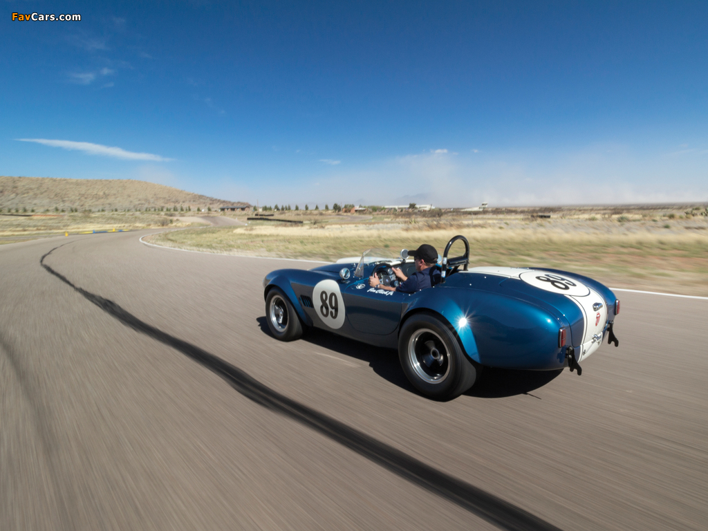 Shelby Cobra 289 (CSX 2473) 1964 wallpapers (1024 x 768)