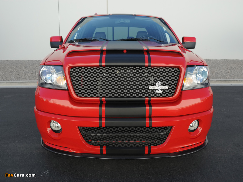 Shelby F-150 Super Snake Concept 2009 images (800 x 600)