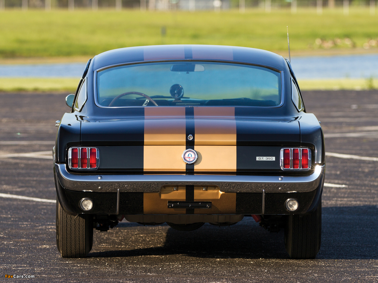 Images of Shelby GT350H 1966 (1280 x 960)