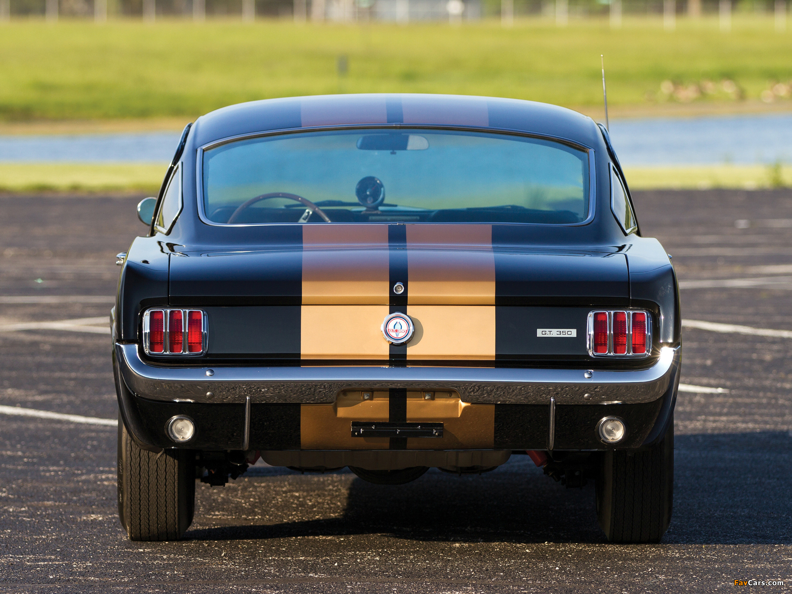 Images of Shelby GT350H 1966 (1600 x 1200)