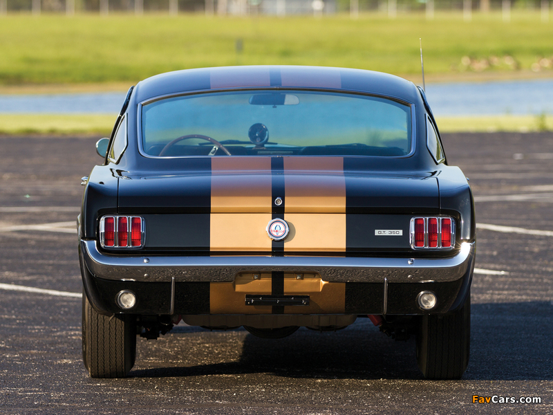 Images of Shelby GT350H 1966 (800 x 600)