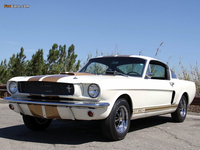 Images of Shelby GT350H 1966 (800 x 600)