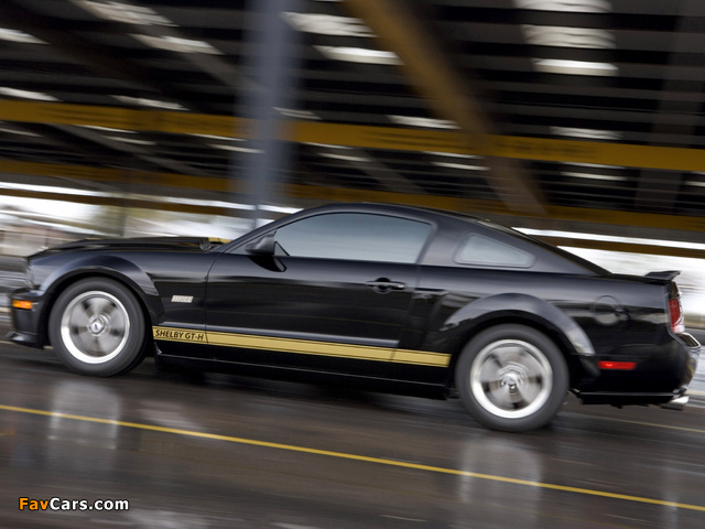 Images of Shelby GT-H 2006 (640 x 480)