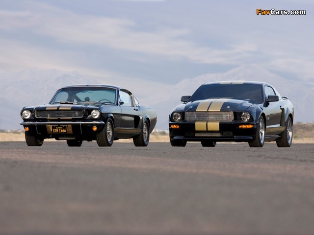 Images of Shelby GT-H (640 x 480)