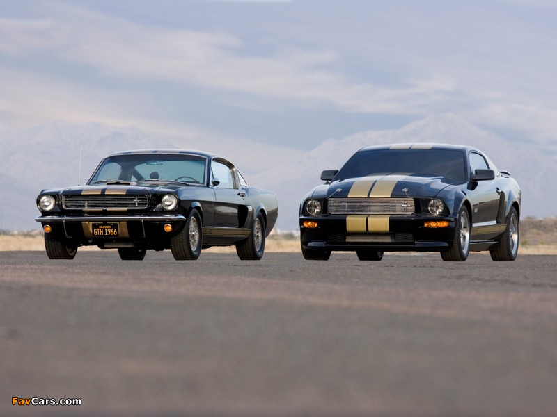 Images of Shelby GT-H (800 x 600)