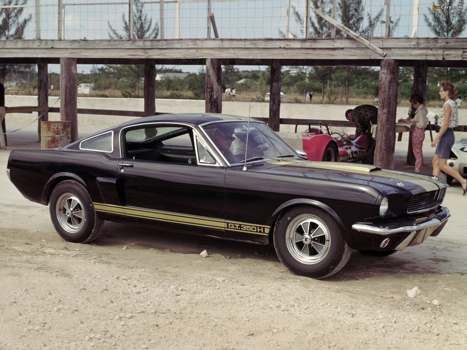 Photos of Shelby GT350H 1966 (1600 x 1200)