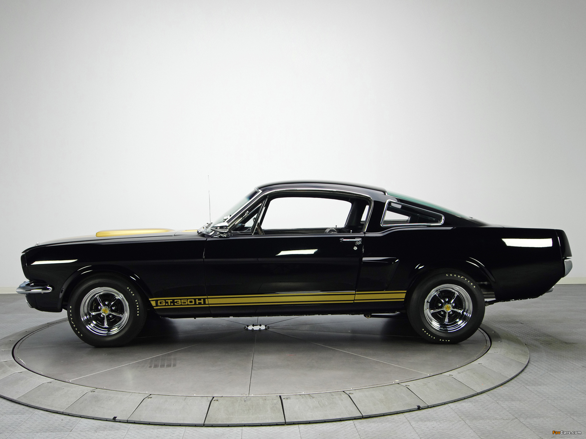 Photos of Shelby GT350H 1966 (2048 x 1536)