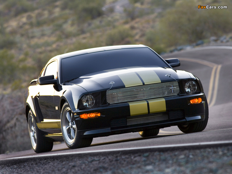 Photos of Shelby GT-H 2006 (800 x 600)