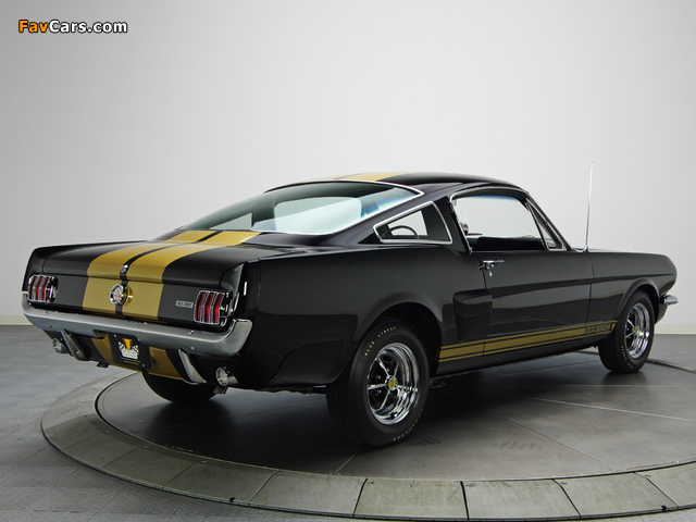 Pictures of Shelby GT350H 1966 (640 x 480)
