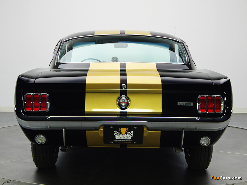 Pictures of Shelby GT350H 1966 (800 x 600)