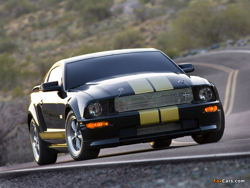 Pictures of Shelby GT-H 2006 (800 x 600)