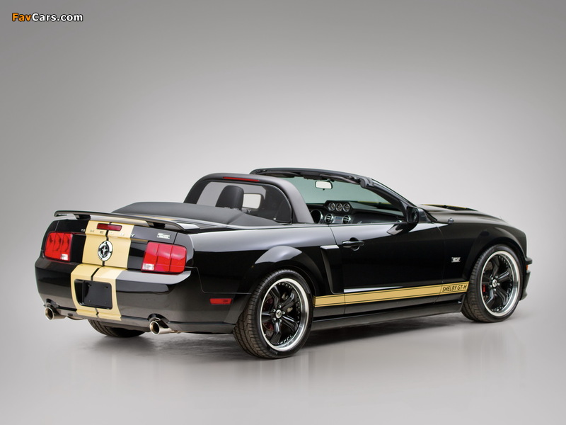 Pictures of Shelby GT-H Convertible 2007 (800 x 600)