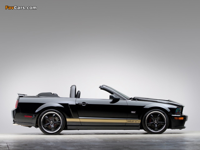 Pictures of Shelby GT-H Convertible 2007 (640 x 480)