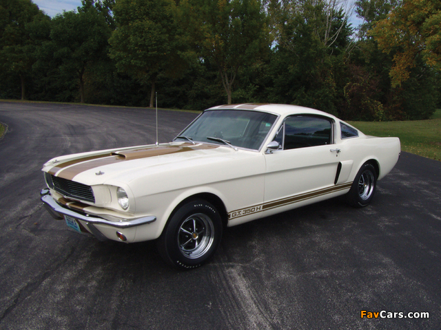 Shelby GT350H 1966 images (640 x 480)