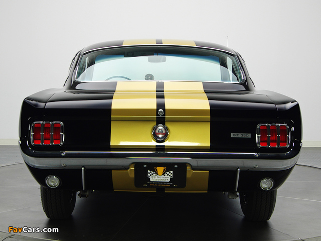Shelby GT350H 1966 pictures (640 x 480)