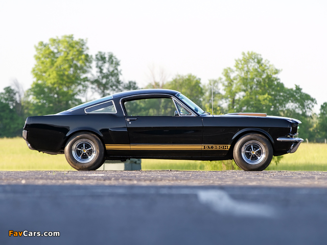 Shelby GT350H 1966 wallpapers (640 x 480)