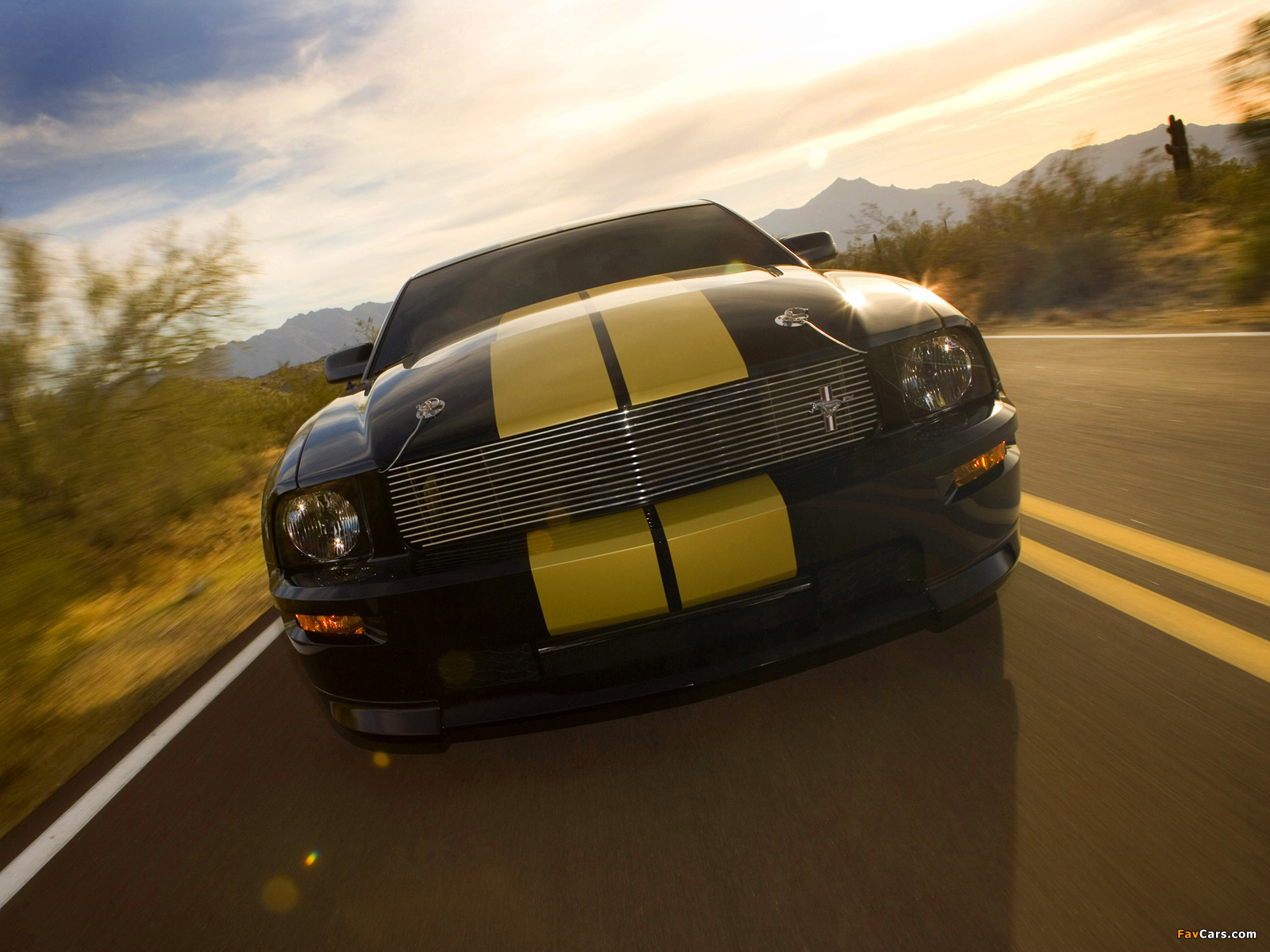 Shelby GT-H 2006 images (1600 x 1200)