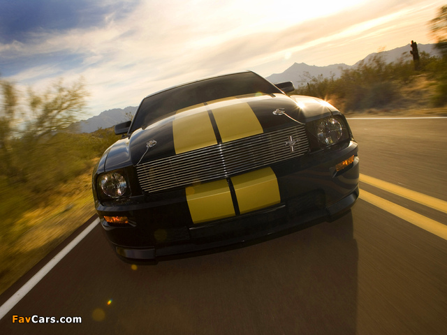 Shelby GT-H 2006 images (640 x 480)