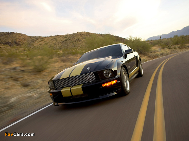 Shelby GT-H 2006 photos (640 x 480)