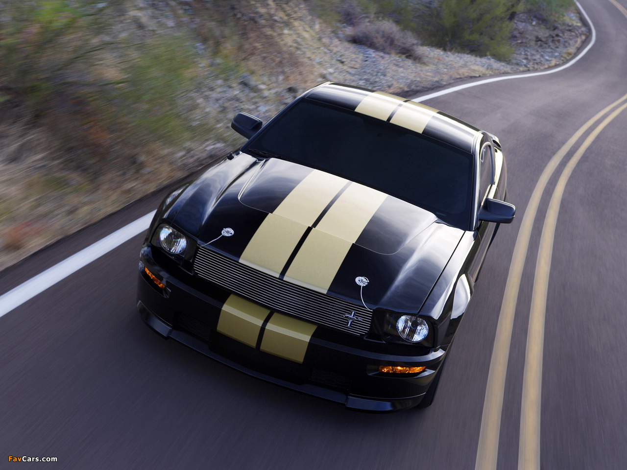 Shelby GT-H 2006 wallpapers (1280 x 960)