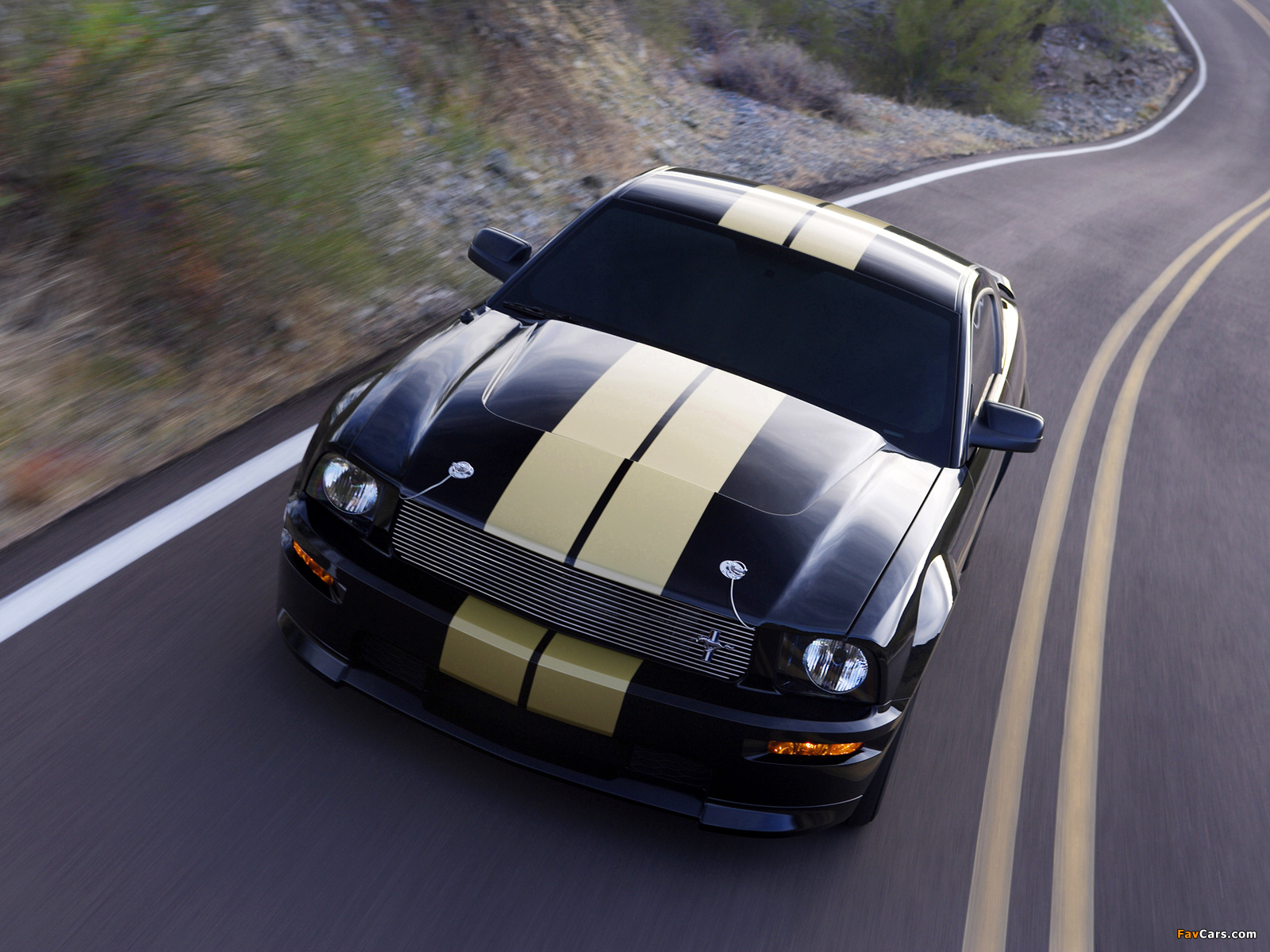 Shelby GT-H 2006 wallpapers (1600 x 1200)