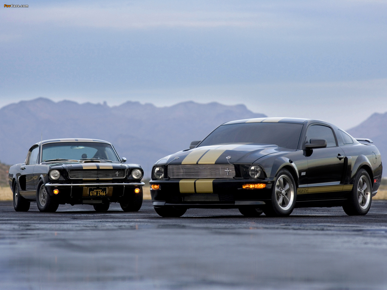 Shelby GT-H wallpapers (1600 x 1200)