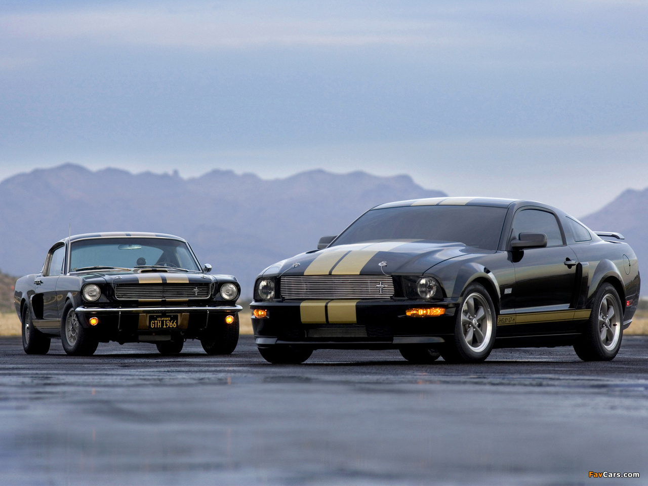 Shelby GT-H wallpapers (1280 x 960)