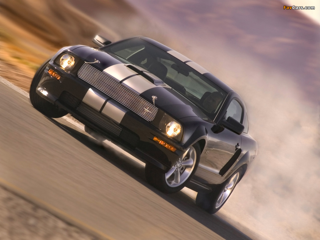 Images of Shelby GT 2007 (1024 x 768)