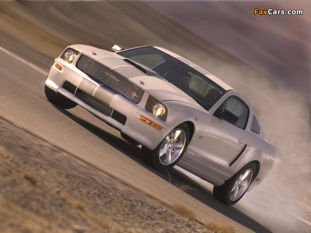 Photos of Shelby GT 2007 (640 x 480)